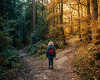 Child with red backpack standing at split forest path with autumn colors